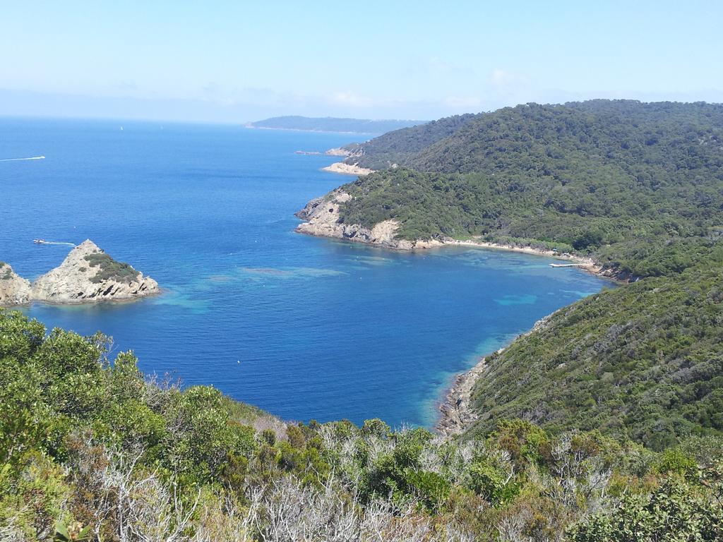 " Au Morgan De Vous " Apartamento Le Lavandou Exterior foto