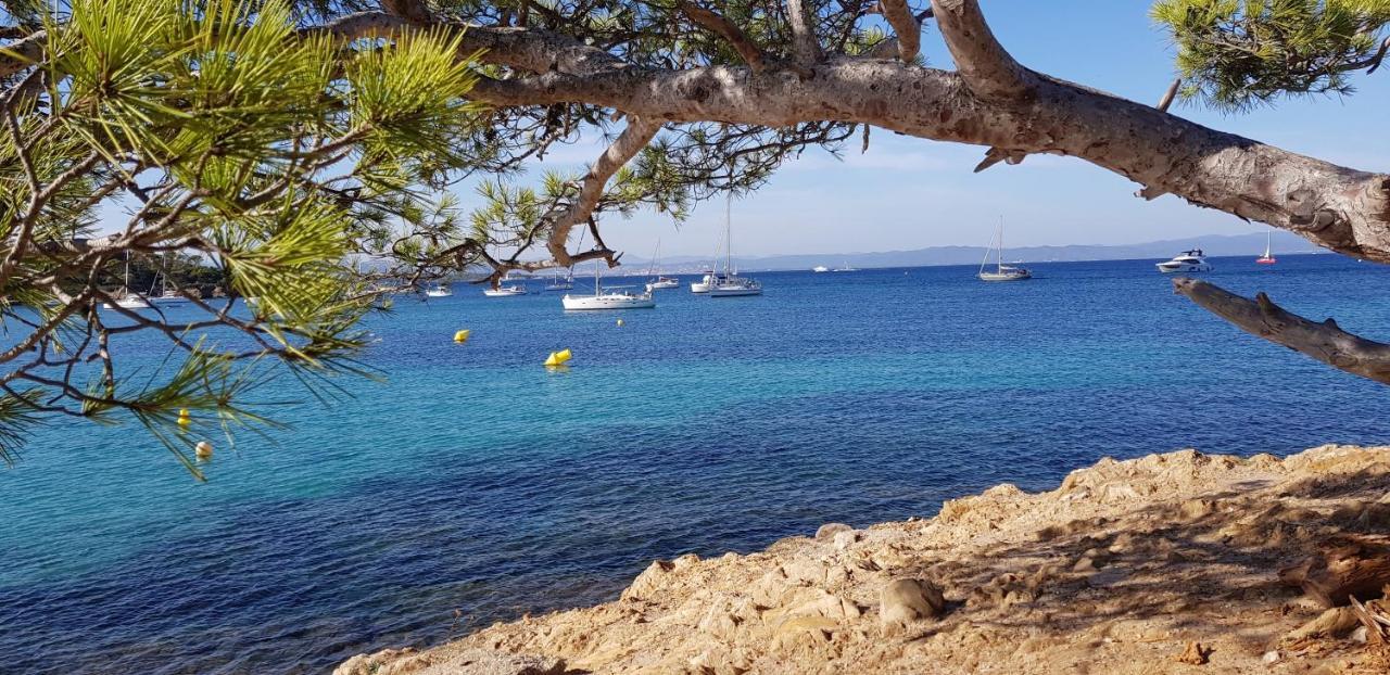 " Au Morgan De Vous " Apartamento Le Lavandou Exterior foto